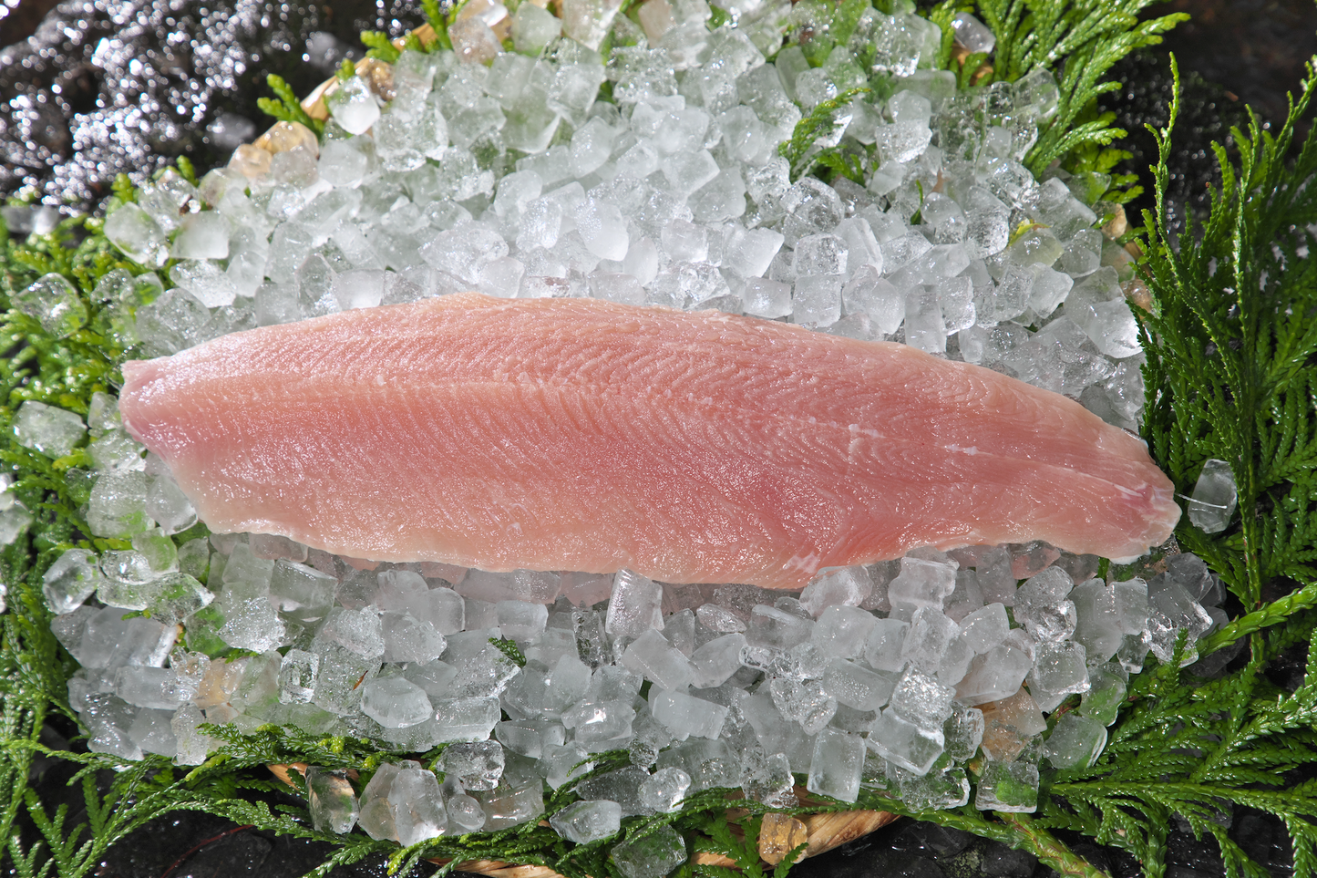 特大イワナのフィレ1匹分(2切れ)