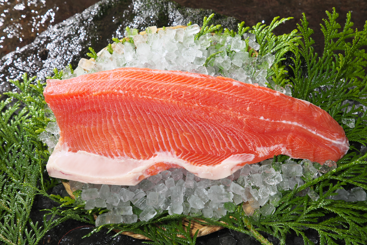シルクサーモンのフィレ1匹分(2切れ)